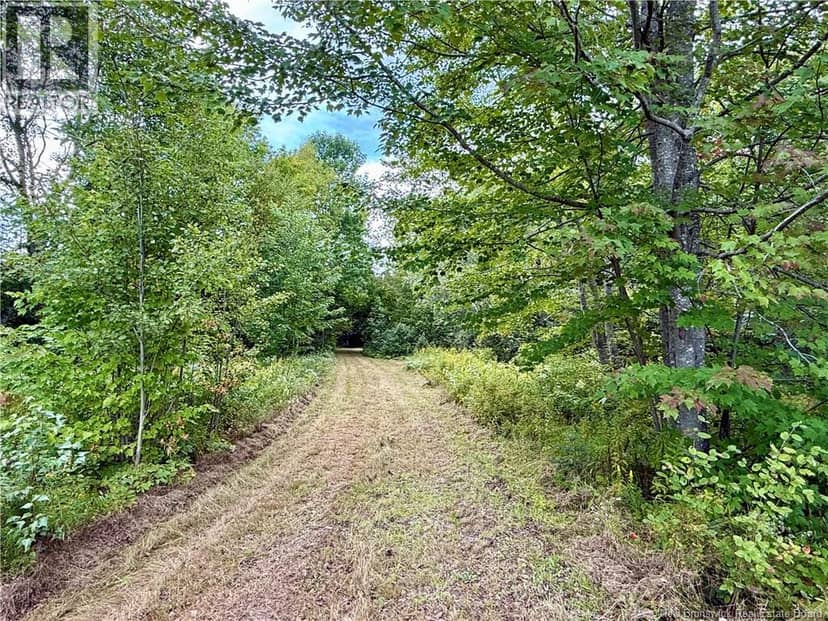Camp & Lot Nortondale Road — photo 5 of 40