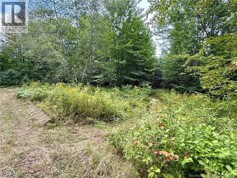 Camp & Lot Nortondale Road — photo 6 of 40