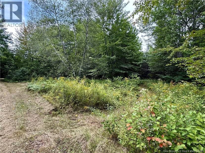 Camp & Lot Nortondale Road — photo 7 of 40