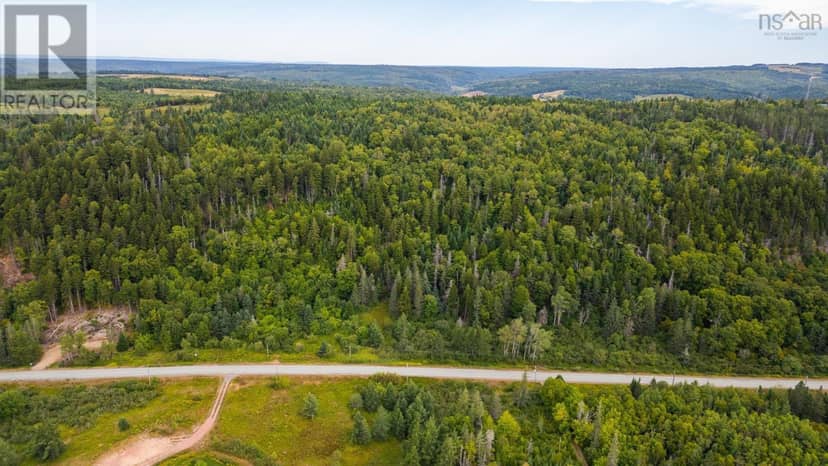 9801 Highway 209, Diligent River, photo 2