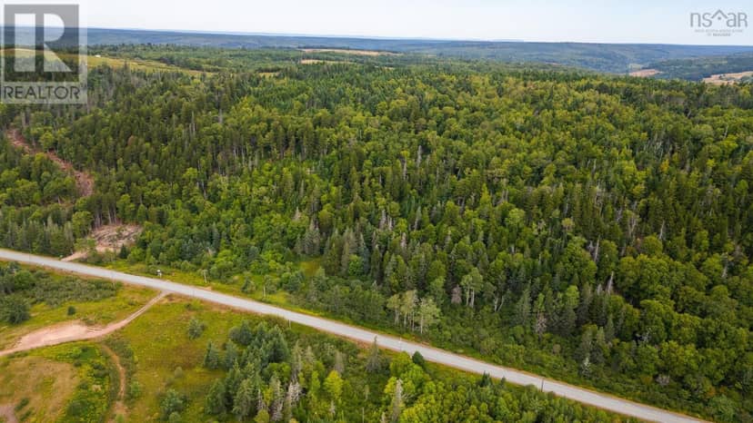 9801 Highway 209, Diligent River, photo 3