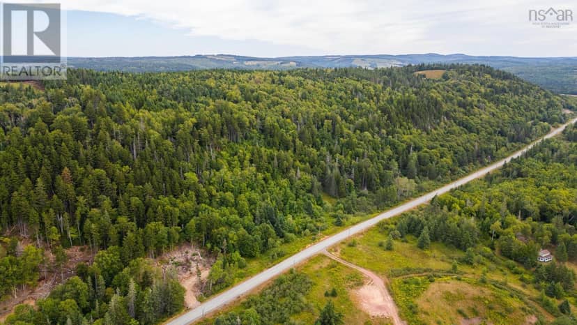 9801 Highway 209, Diligent River, photo 5