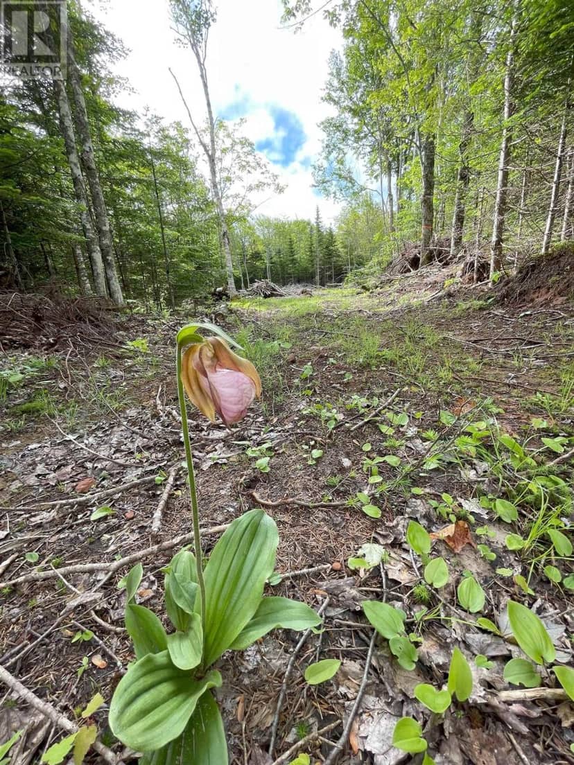 0 Mapleridge Estates, New London, photo 6
