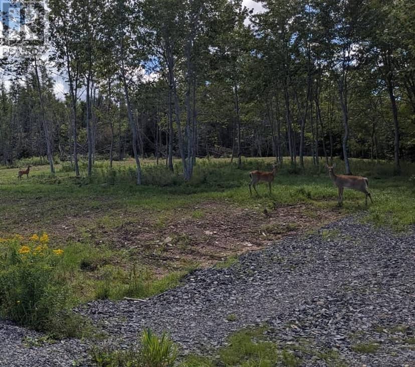 Lot 4 French Cove Road — photo 11 of 18