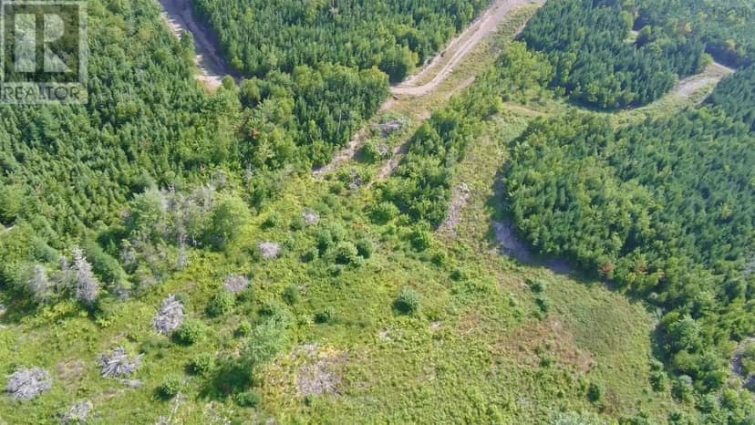 Lot 14 Lake Road — photo 6 of 22