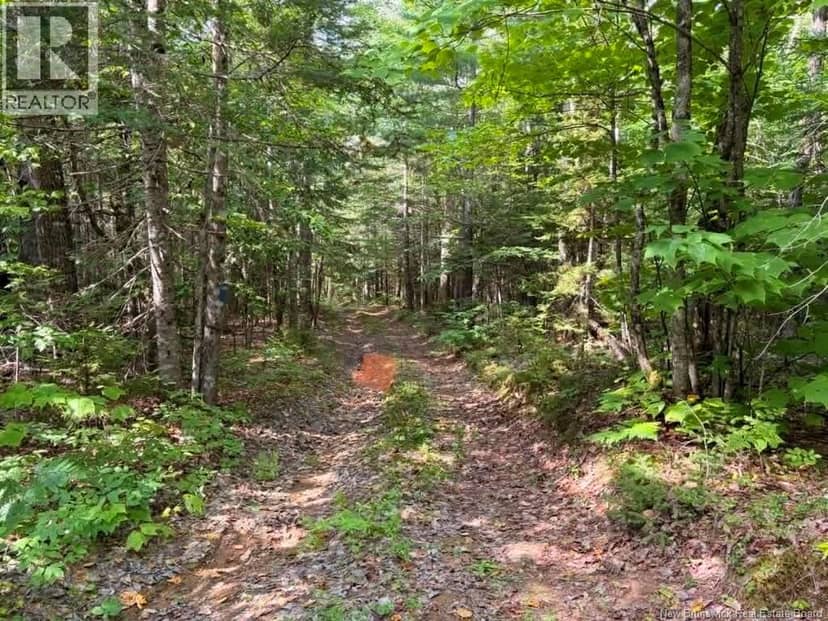 Camp - Lot 17 Green Road, Elgin, photo 5