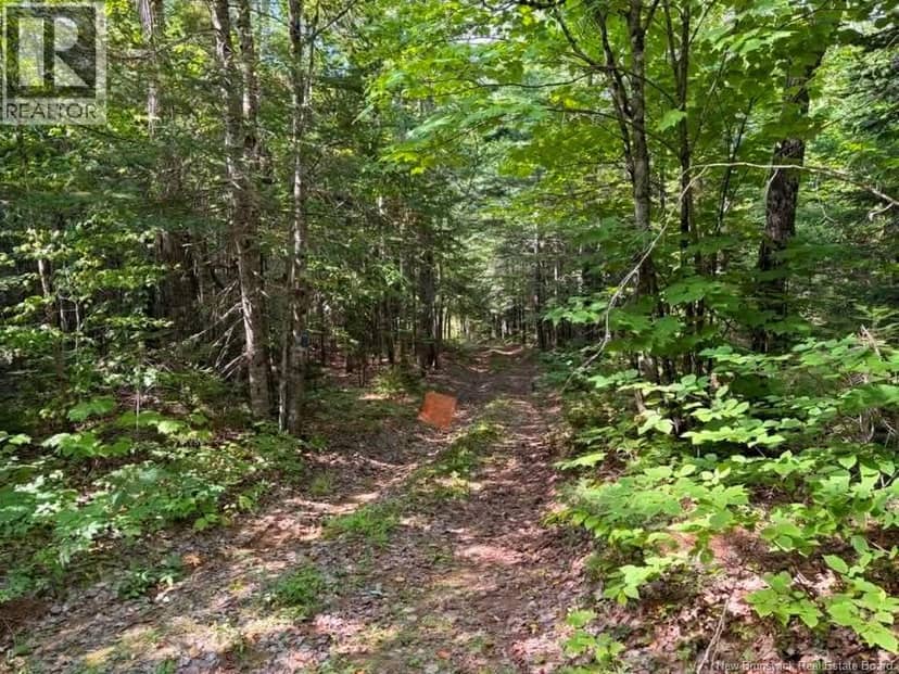 Camp - Lot 17 Green Road, Elgin, photo 6