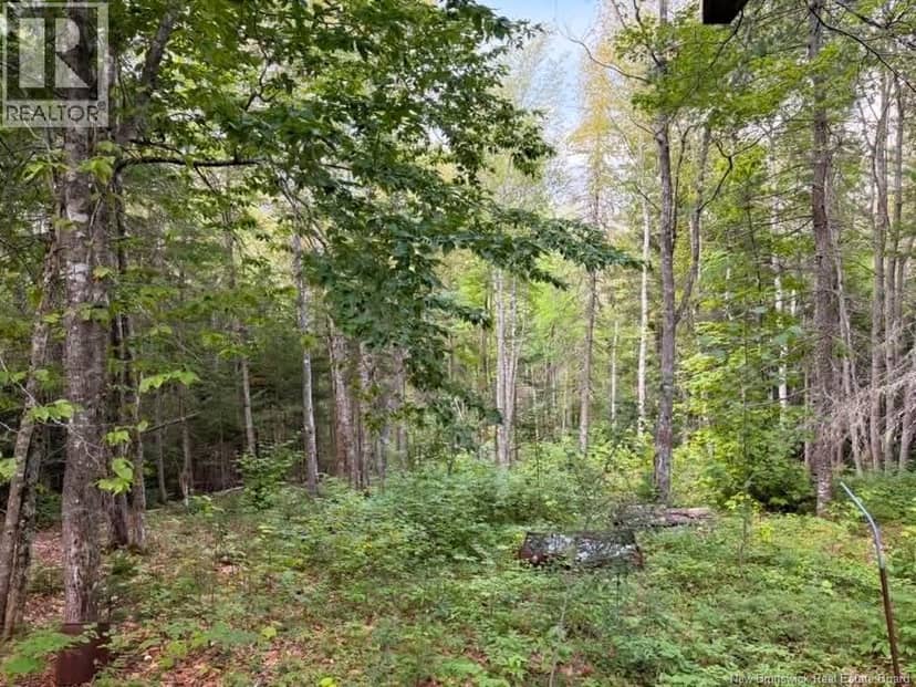 Camp - Lot 17 Green Road, Elgin, photo 7