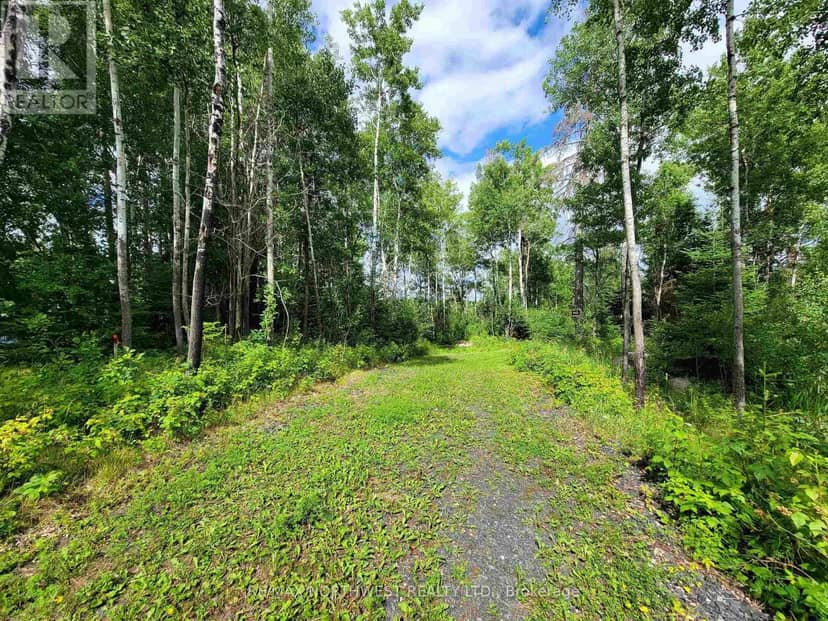 1319 Laurenson Lake — photo 8 of 22