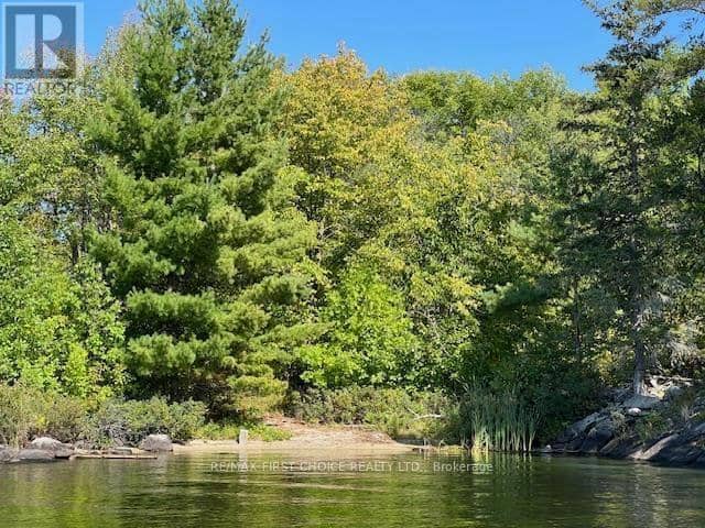 G 734 Rainy Lake — photo 12 of 30