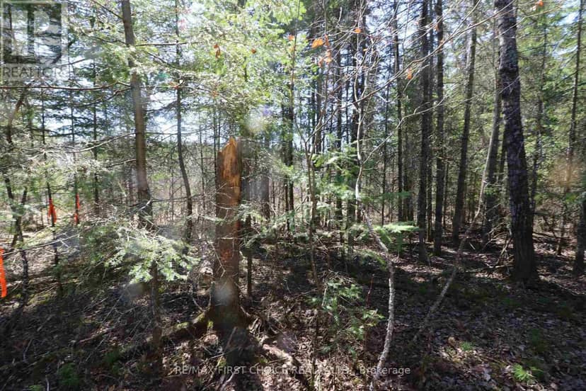 Lot 151 Plan M222 — photo 9 of 34