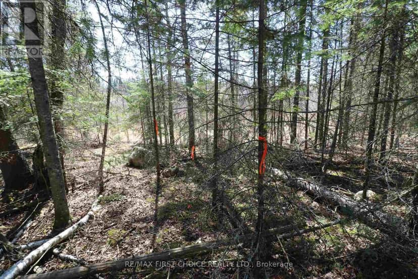 Lot 151 Plan M222 — photo 11 of 34