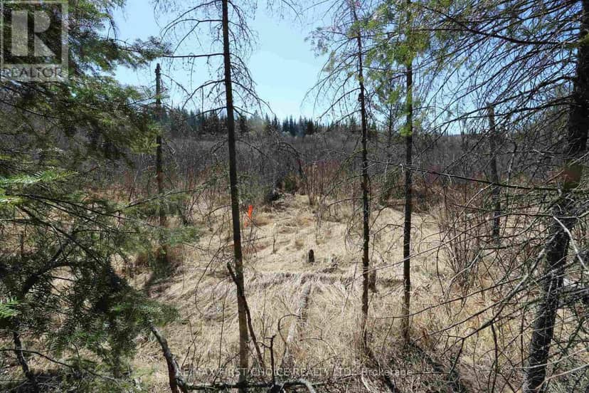Lot 151 Plan M222 — photo 15 of 34