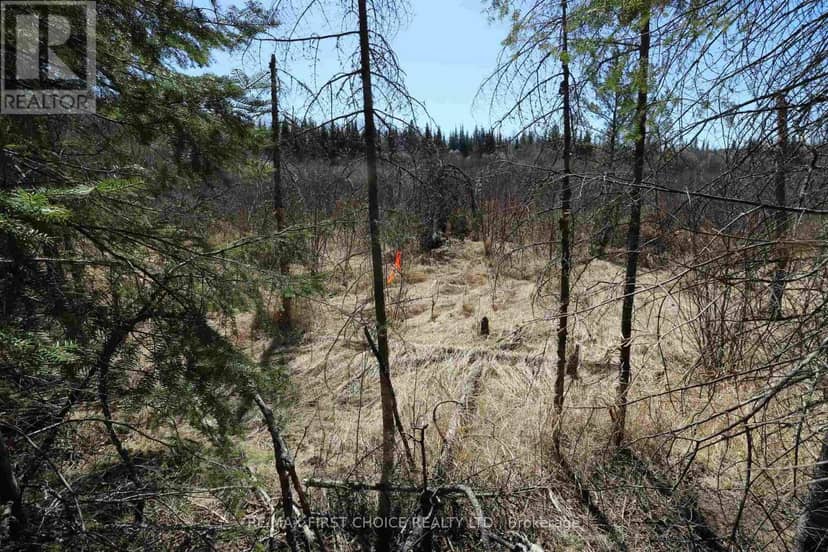 Lot 151 Plan M222 — photo 16 of 34