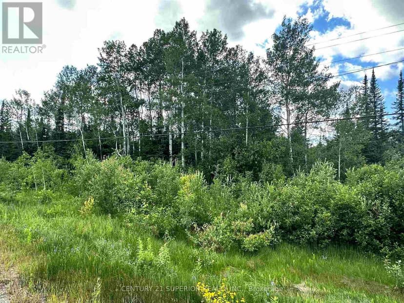 W 1/2 Lt 5 Cantley Drive Hwy 11-17 — photo 13 of 23