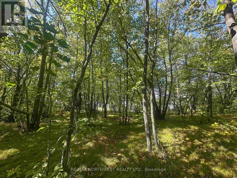 Pts 1,5,6 Dorion Island Lake Of The Woods — photo 30 of 40