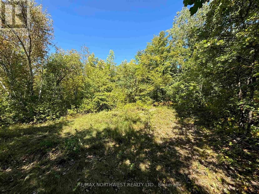 Pts 1,5,6 Dorion Island Lake Of The Woods — photo 35 of 40