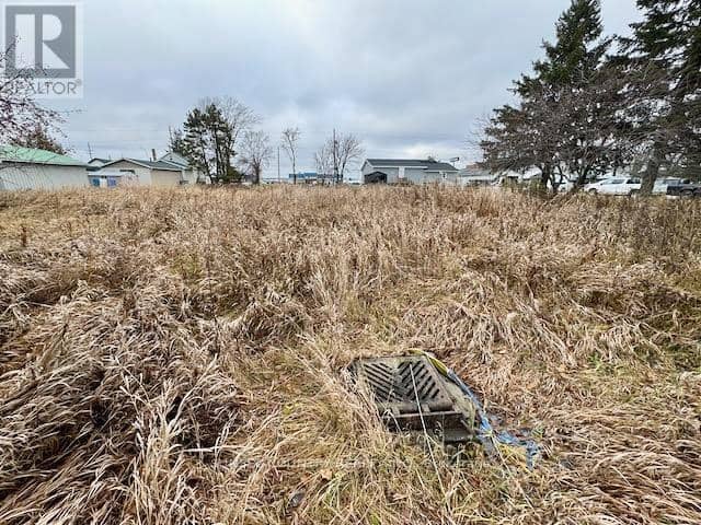 452 Government Street, Dryden, photo 7