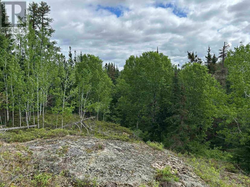 Lot 5 Eagle Bay Road — photo 14 of 20