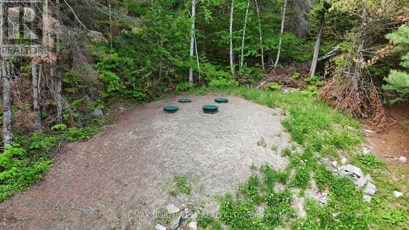 2804 Grandpa Tolen's Road Crow Lake — photo 19 of 21