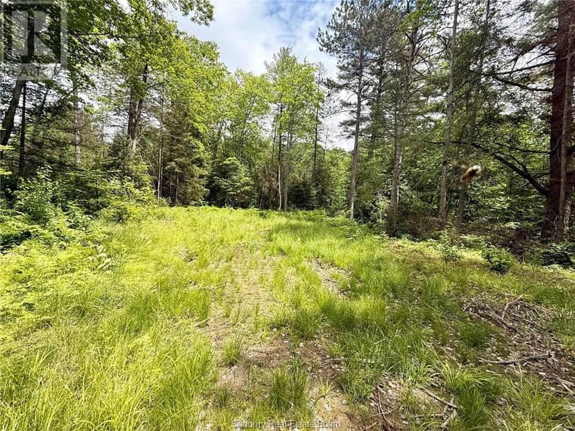 460 Old Webbwood Road, Espanola, photo 4