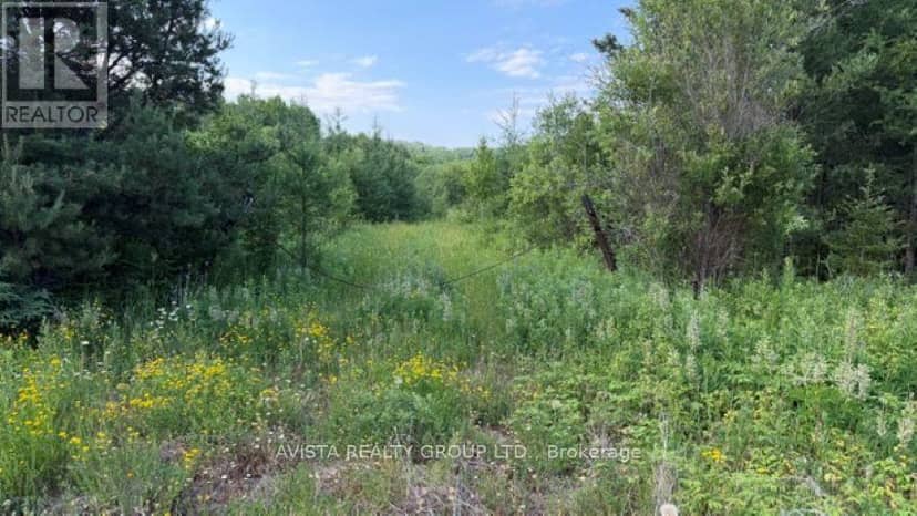6525 Hwy 61, Neebing, photo 3