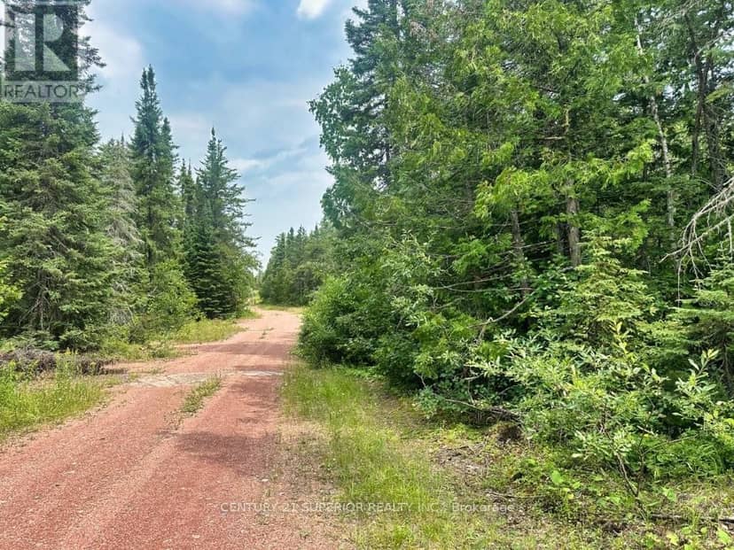 Pcl 9169 Cavern Lake Road — photo 19 of 40