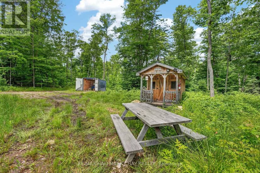 Lot 29 Concession 11 — photo 11 of 37