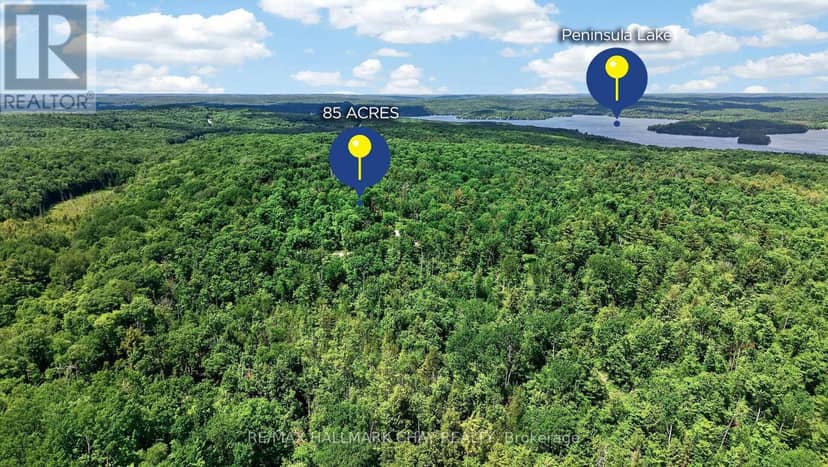 Lot 29 Concession 11, Lake of Bays, photo 2