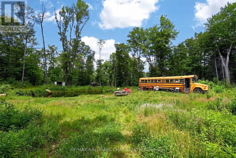 Lot 29 Concession 11, Lake of Bays, photo 4