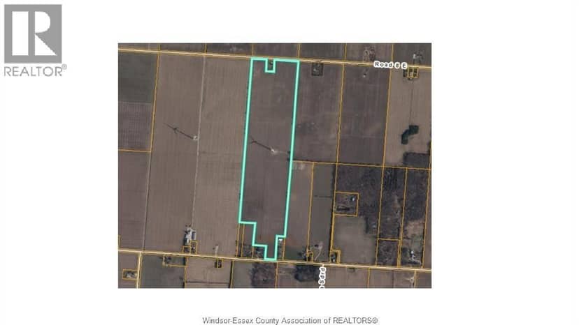 157 Road 7, Kingsville, photo 2