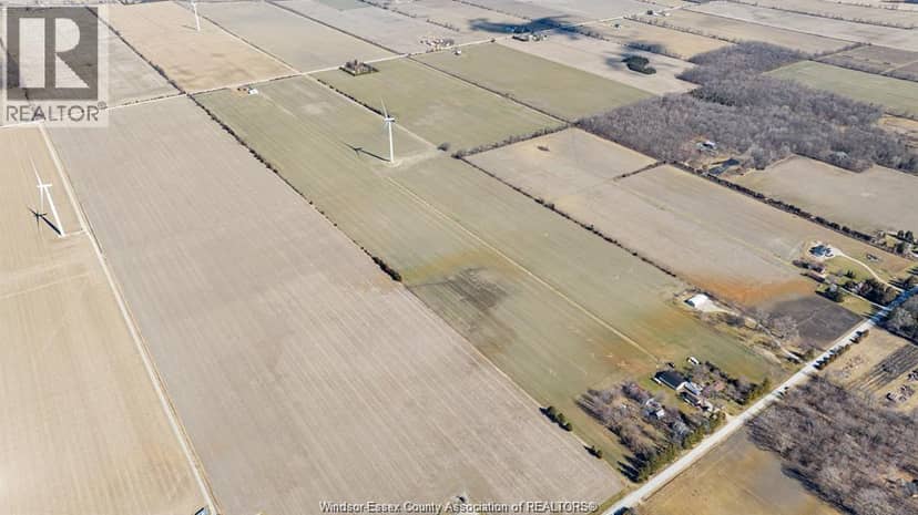 157 Road 7, Kingsville, photo 6