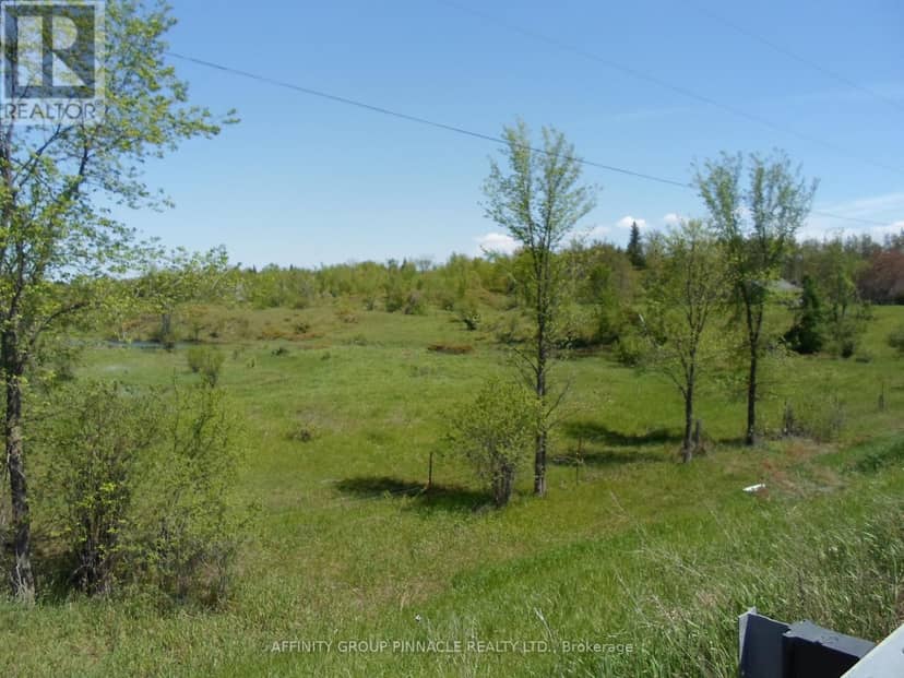 1178 County Rd 121 Road, Kawartha Lakes, photo 3