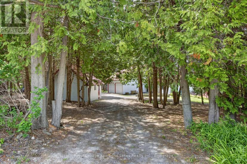153 Pleasant Point Road, Kawartha Lakes, photo 8