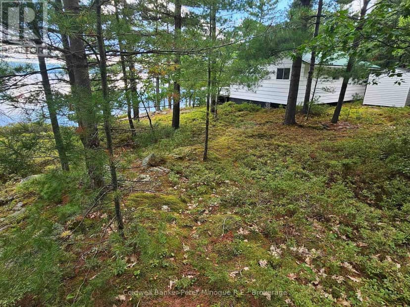 82 Jessup Island — photo 10 of 34