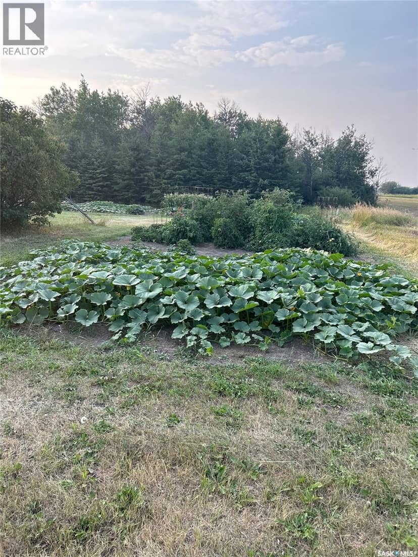 Turtleford Acreage. — photo 40 of 40