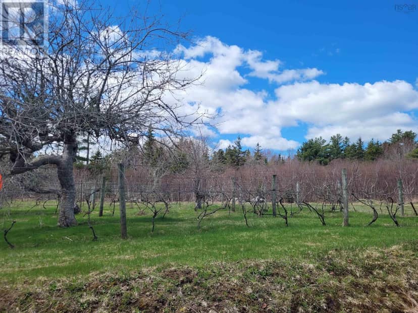 1214 Old Port Mouton Road — photo 39 of 39