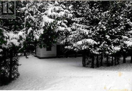 81 McGuire Beach Road — photo 14 of 40