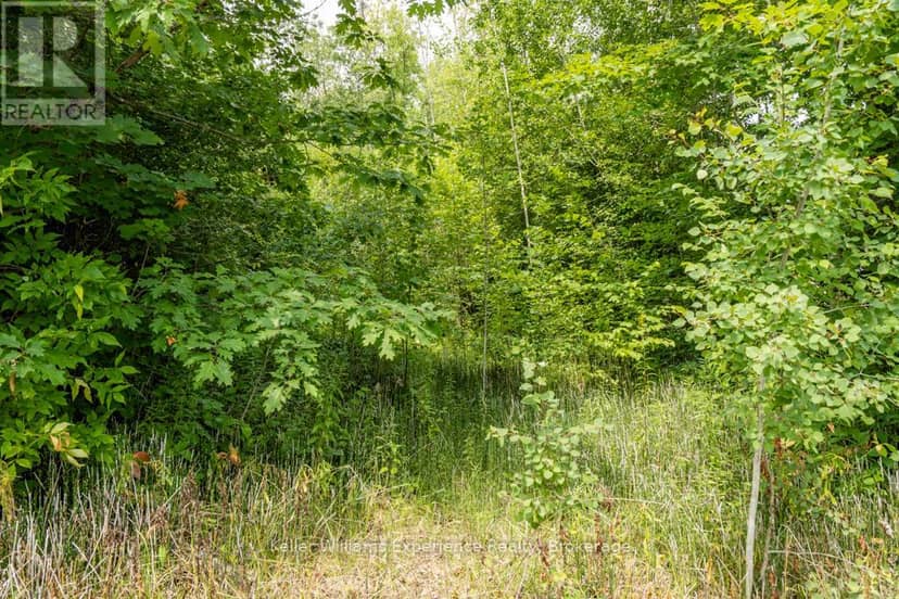 264 Peek-A-Boo Trail, Tiny, photo 7