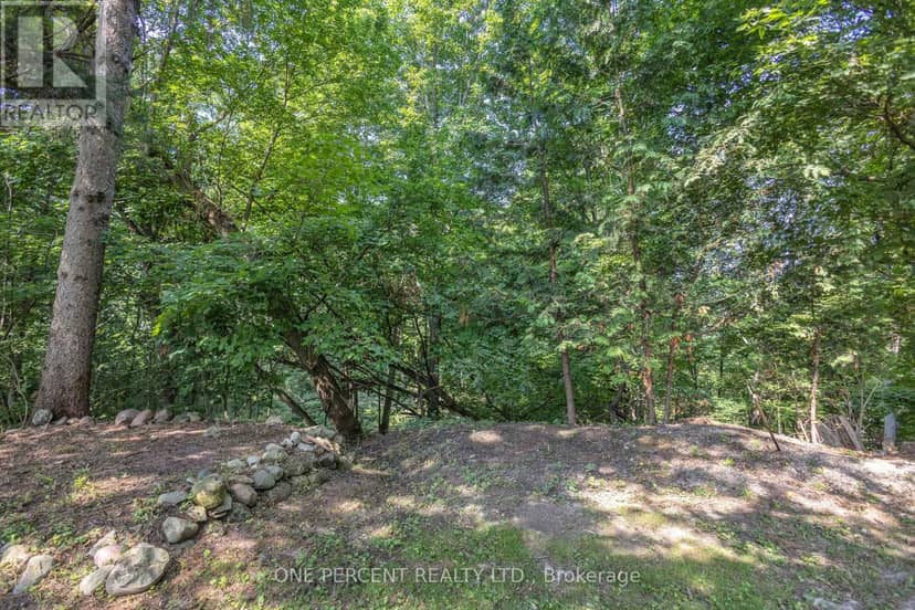 55 Young Street — photo 7 of 35