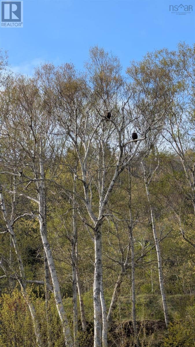 Marble Mountain Road — photo 22 of 30