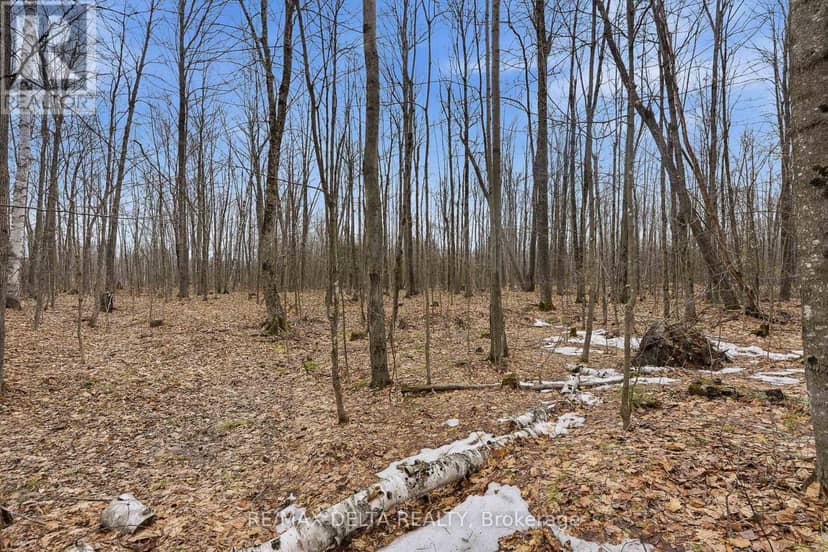 00 Part Of Lot 11 Gagne Road — photo 13 of 22