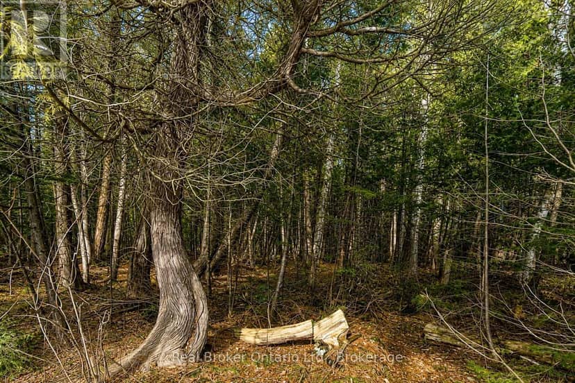 Lot 116 Iroquois Crescent, Tiny, photo 3