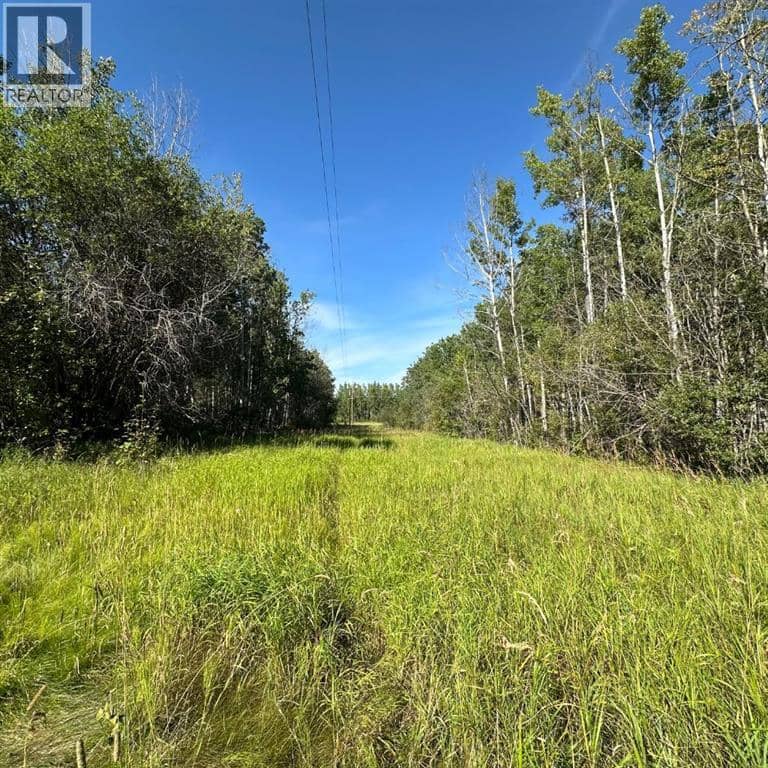 67173 Range Road 155 — photo 17 of 28