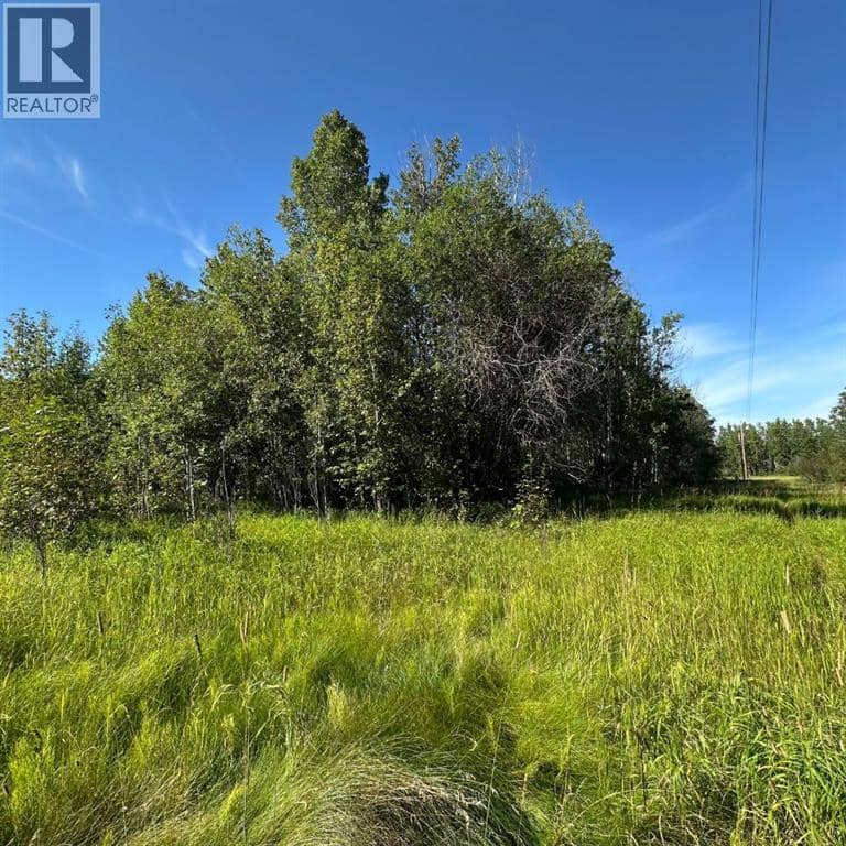 67173 Range Road 155 — photo 18 of 28