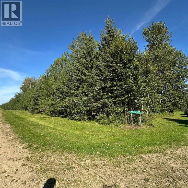 67173 Range Road 155 — photo 27 of 28
