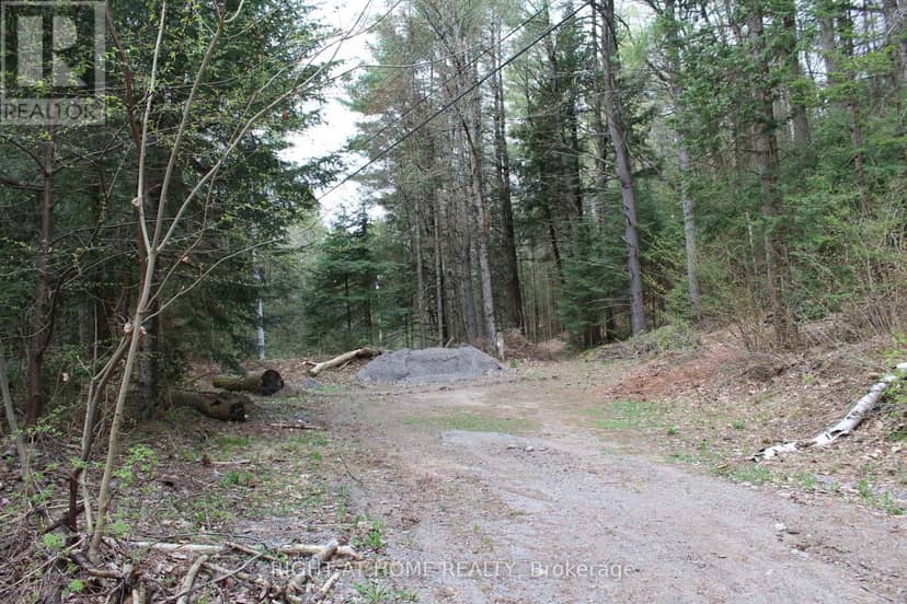1019 Forrester Trail — photo 4 of 13
