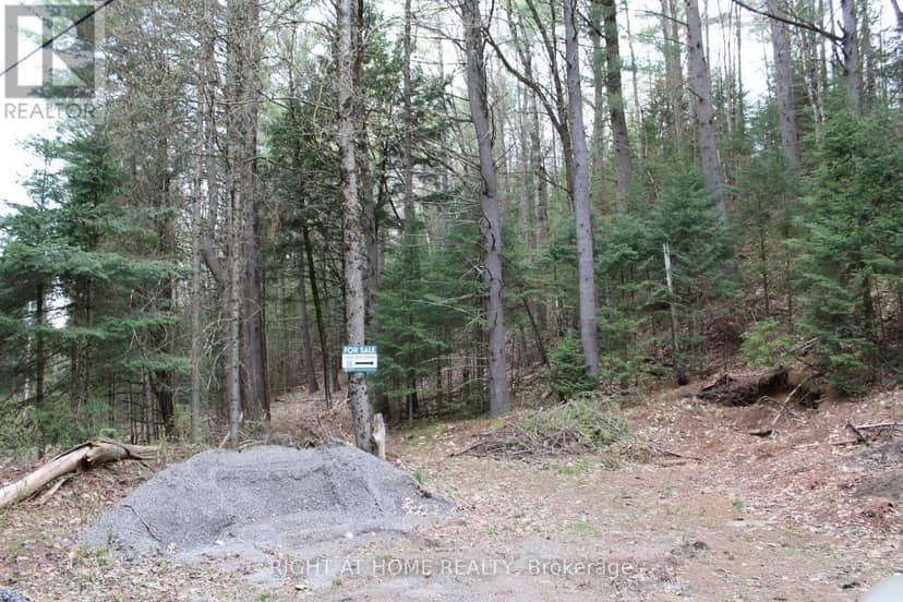 1019 Forrester Trail — photo 5 of 13