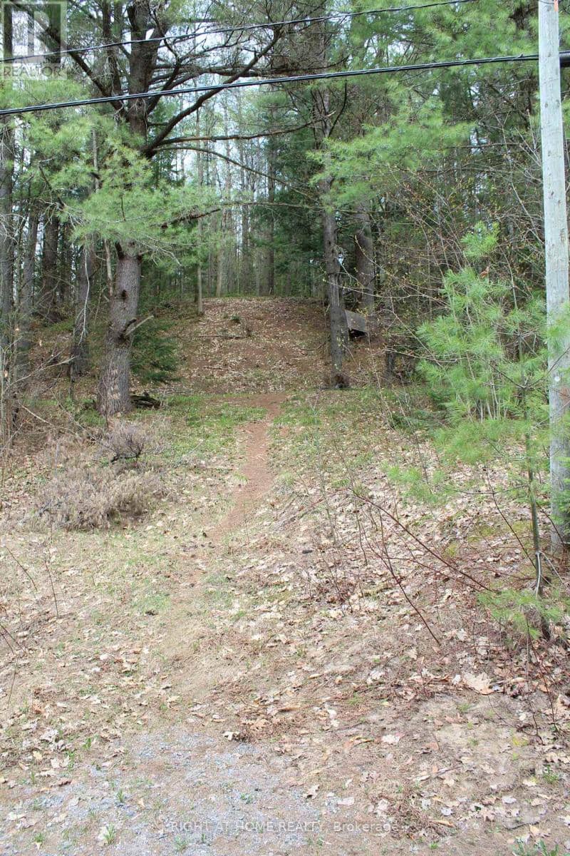 1019 Forrester Trail — photo 9 of 13