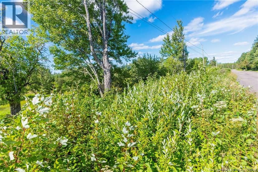 Lot 84-2 New Scotland Road — photo 5 of 28